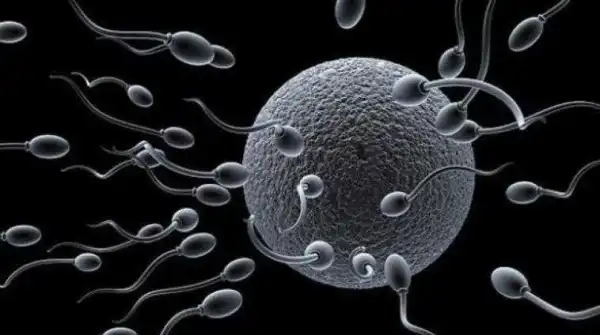 [Must Raed] See How Sperm Could Be Used To Fight Cancer In Women